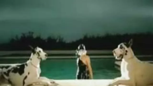 華やかな金髪とセクシーズ映画面 女の子 の 為 の 無料 エロ 動画
